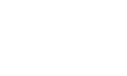 Financial Services-icon-white